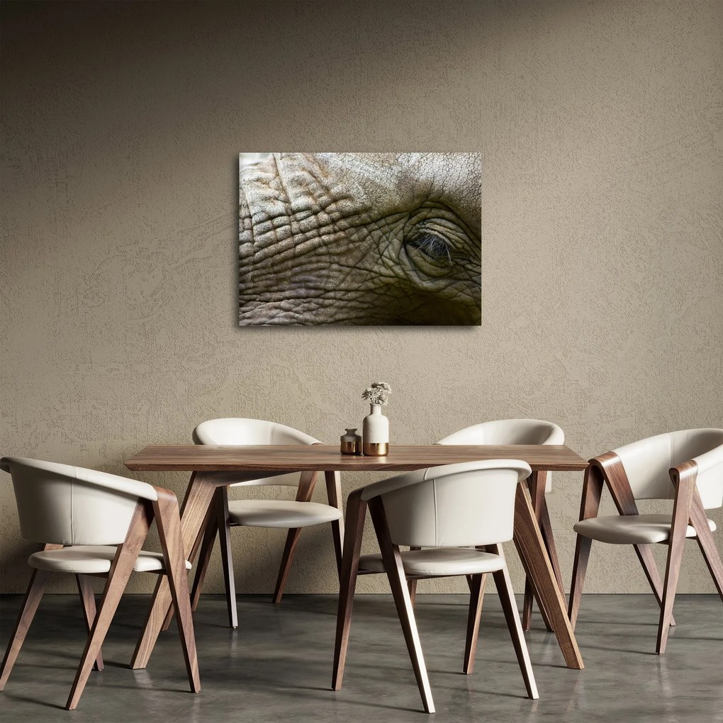 Kép - Közelkép az öreg elefánt szeméről (70x50 cm)