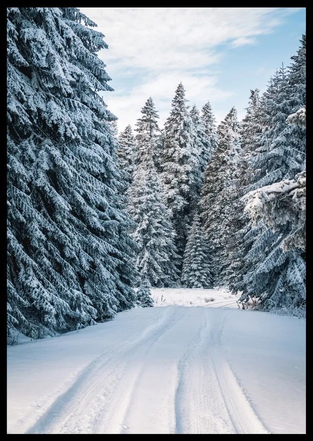 Poszter 50x70 Tél mintaválaszték téli tájképek eviero hó tájak