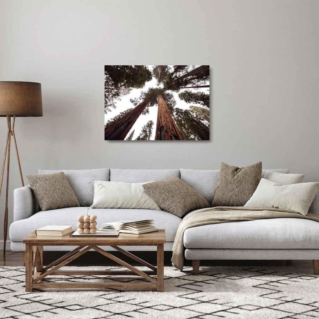 Kép - Kilátás a fák között (üvegen) (70x50 cm)