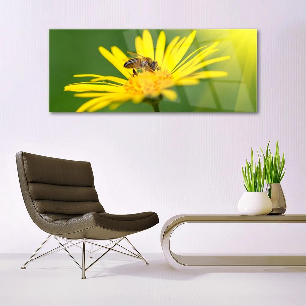 Akrilüveg fotó Bee Virág Természet 100x50 cm