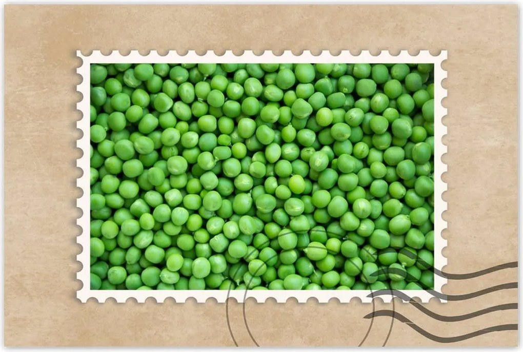 Poszter 60x40 Zöldborsó