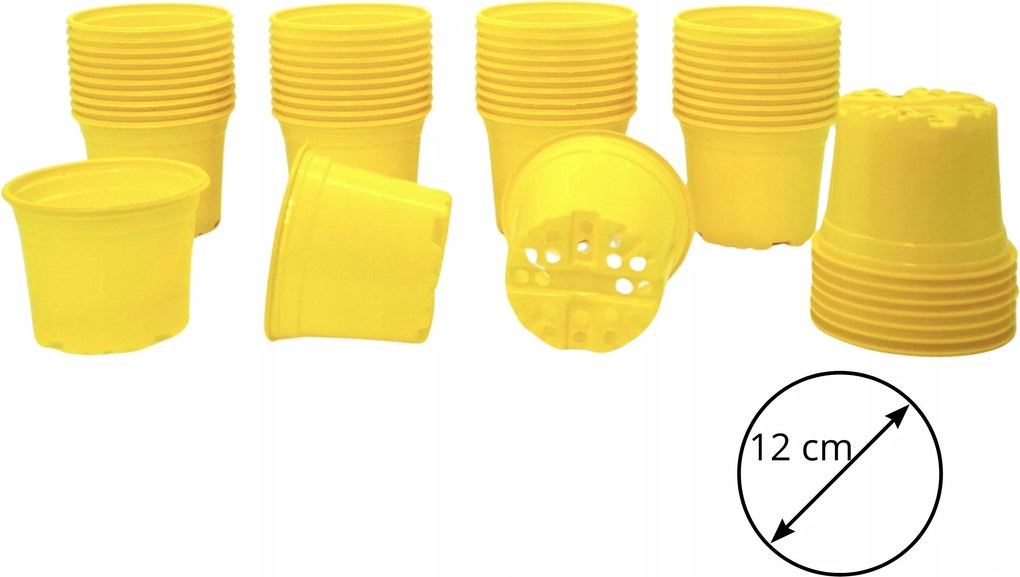 50 db Termelő kaspó 12 cm Sárga zsázsa nárcisz krókusz tavasz