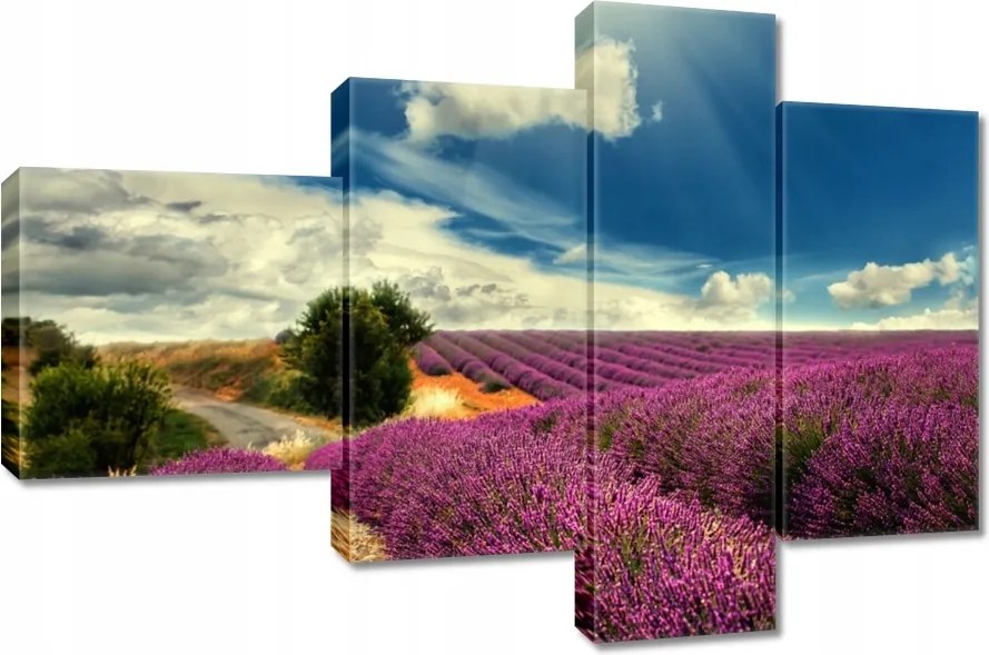 Vászonkép 100x70 Levendulamező