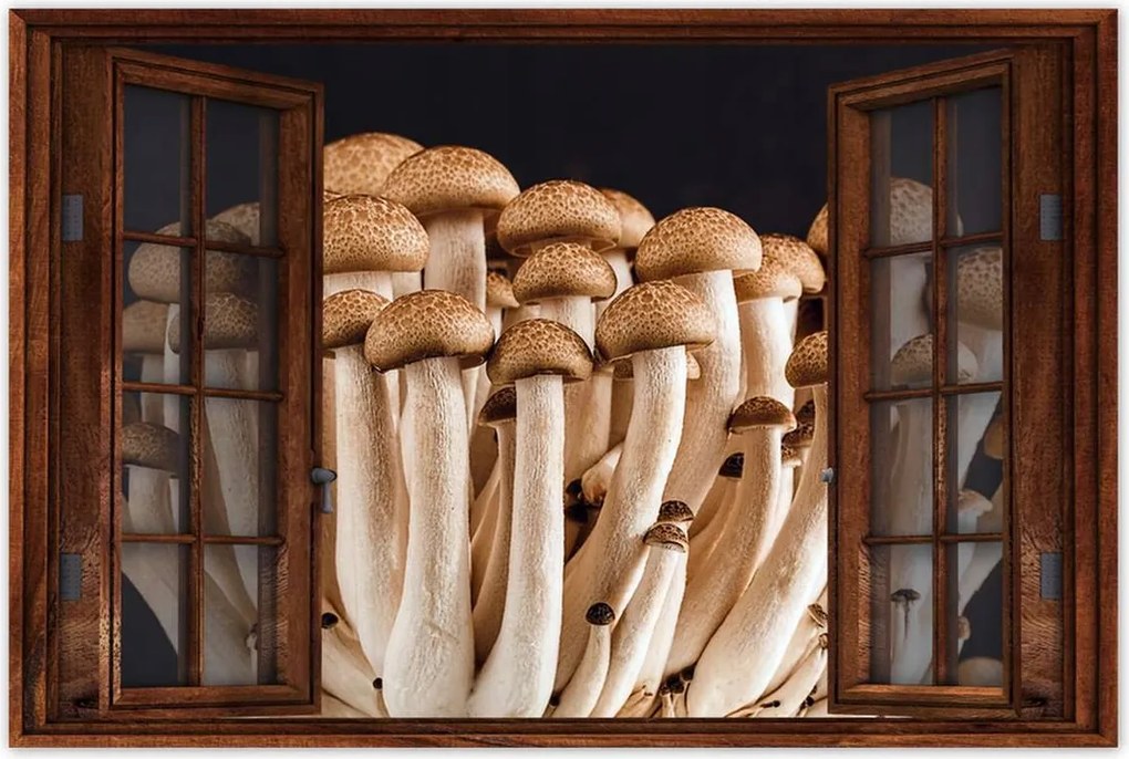 Poszterek 120x80 Gomba az erdőben Közelkép