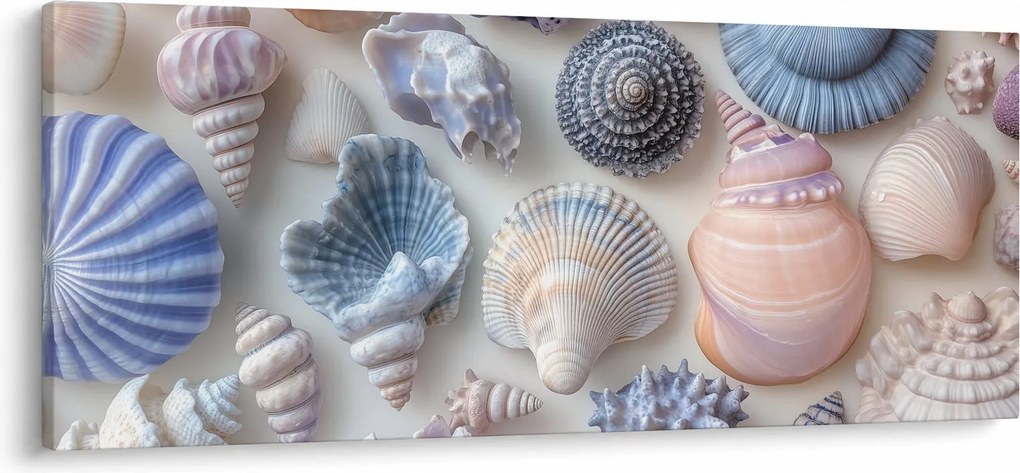 Kép - Kagylógyűjtemény (120x50 cm)