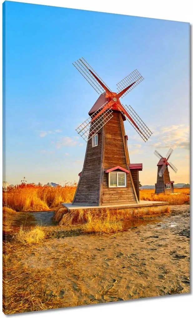 Vászonkép 70x100 Fa szélmalom