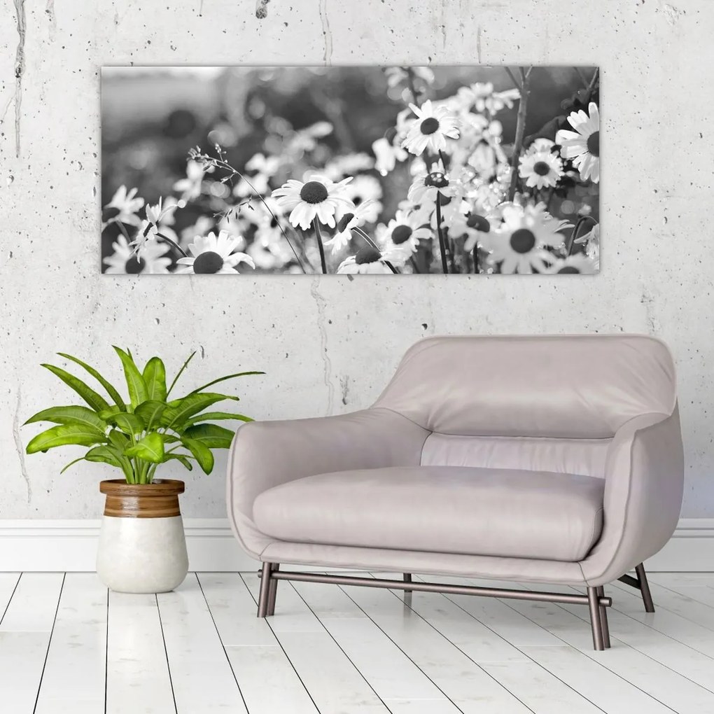 Kép - Százszorszépek (120x50 cm)