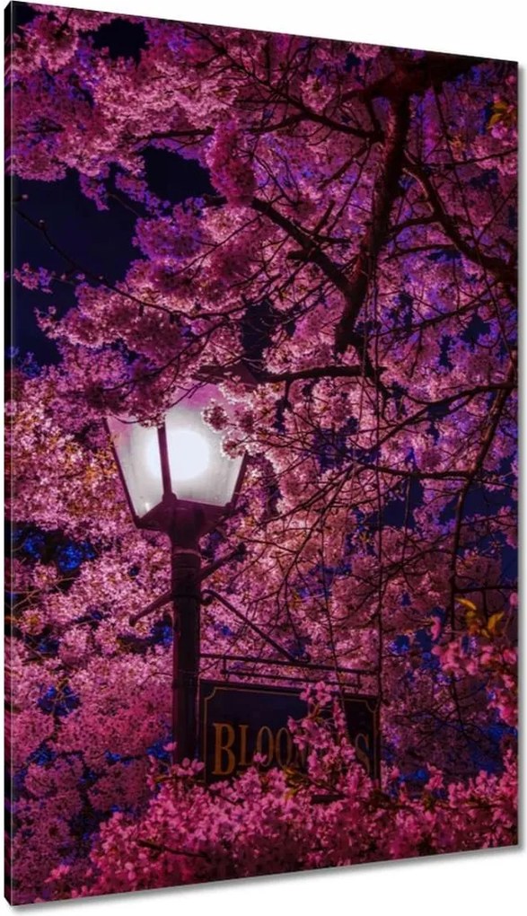 Vászonkép 80x120 Mély éjszaka Lampa Virágok