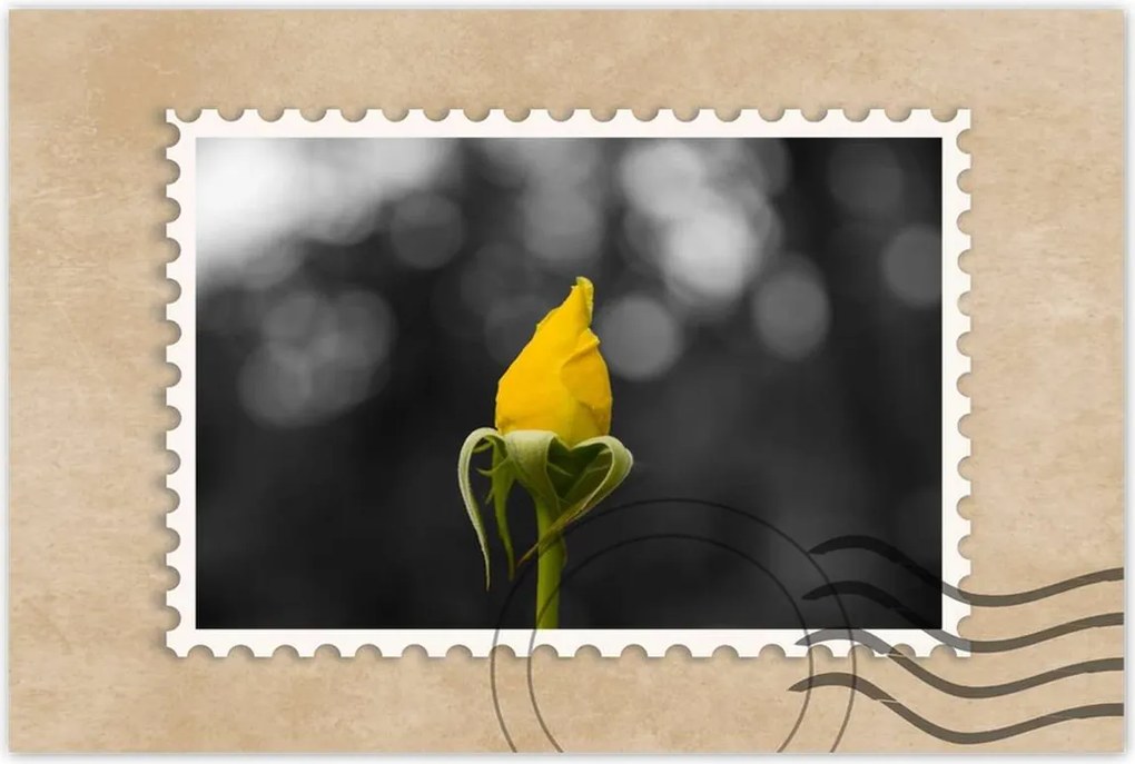 Poszterek 120x80 Sárga rózsa