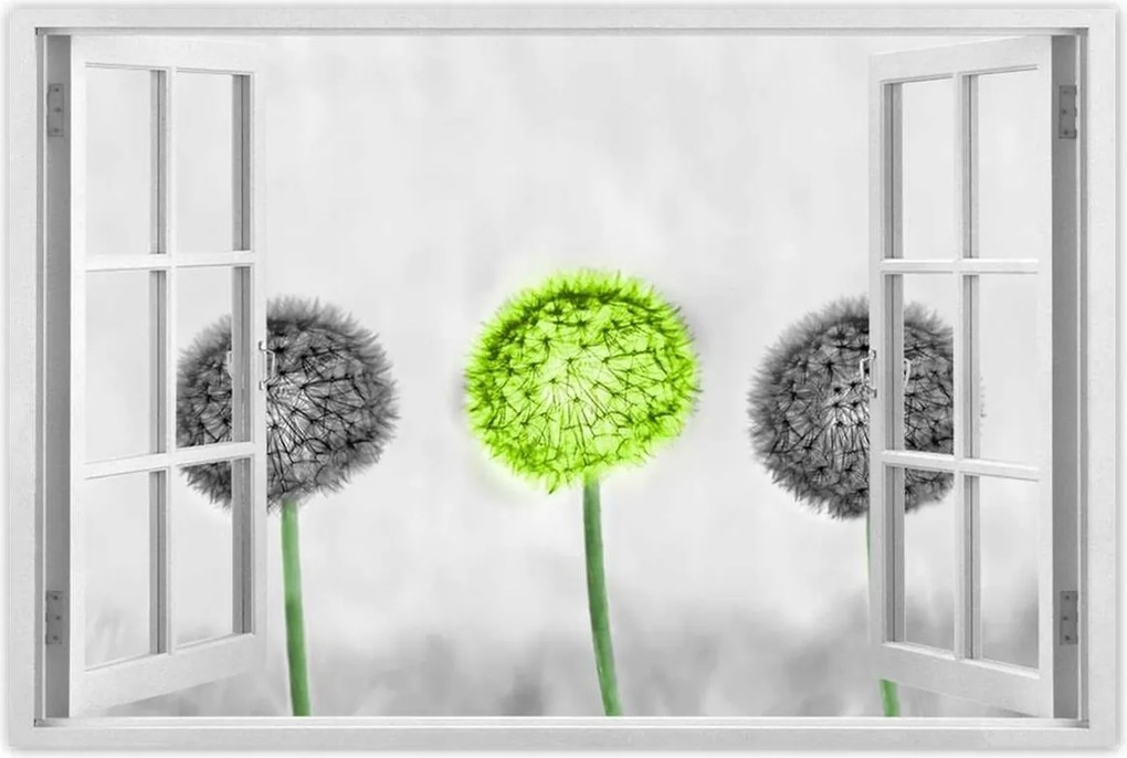 Poszterek 90x60 Pitypangok