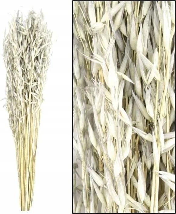 Westwing Avena csokor Szürke 60 cm