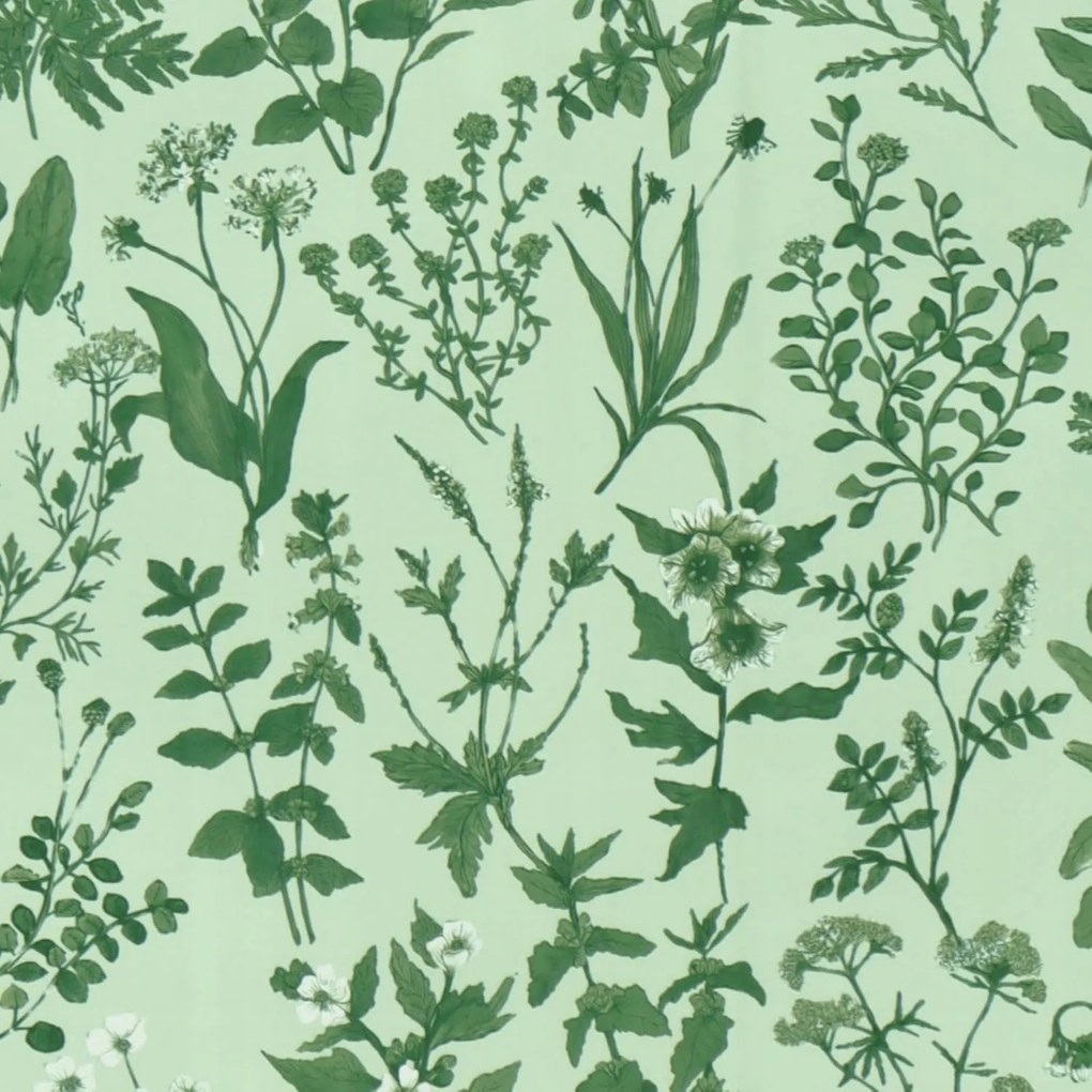 Öntapadós tapéta Vízálló Minta Zöld virágok Levelek 44x300cm erős