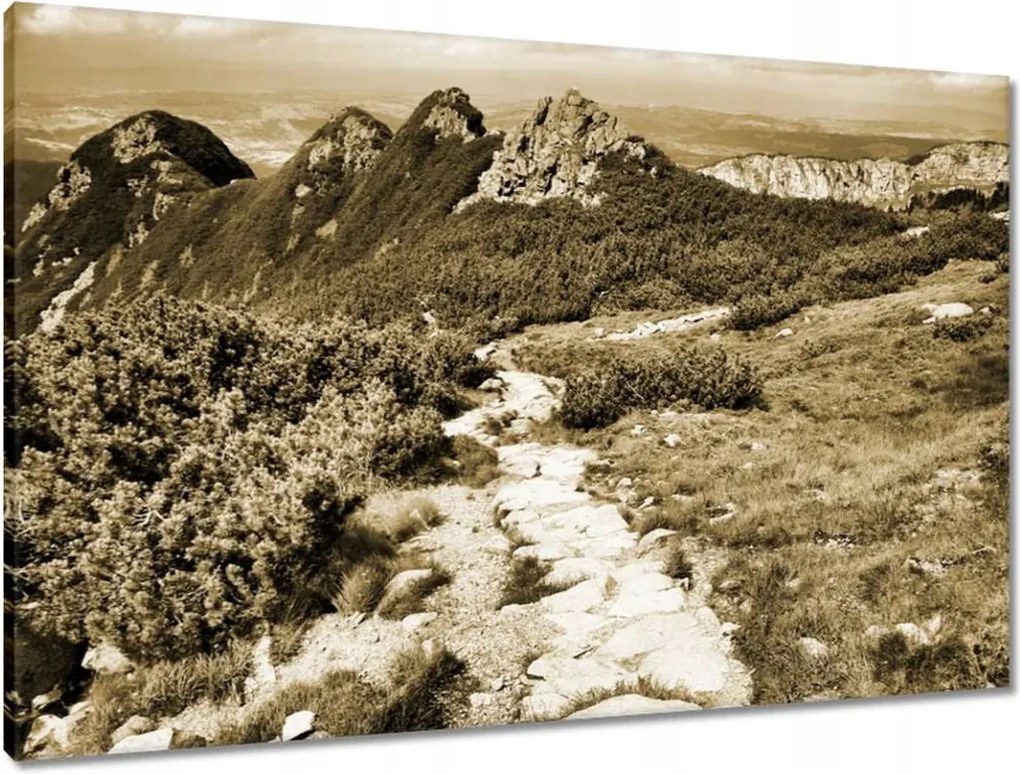 Vászonkép 90x60 Tátra Lengyel hegyek Kilátás