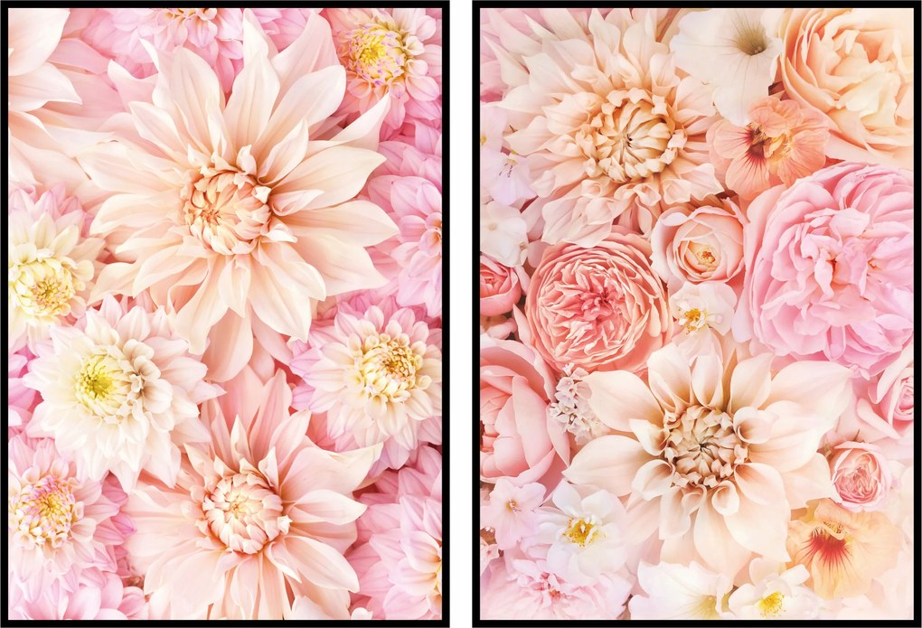 Tavaszi virágok poszter szett 2db 50x70cm dália virág színek botanika