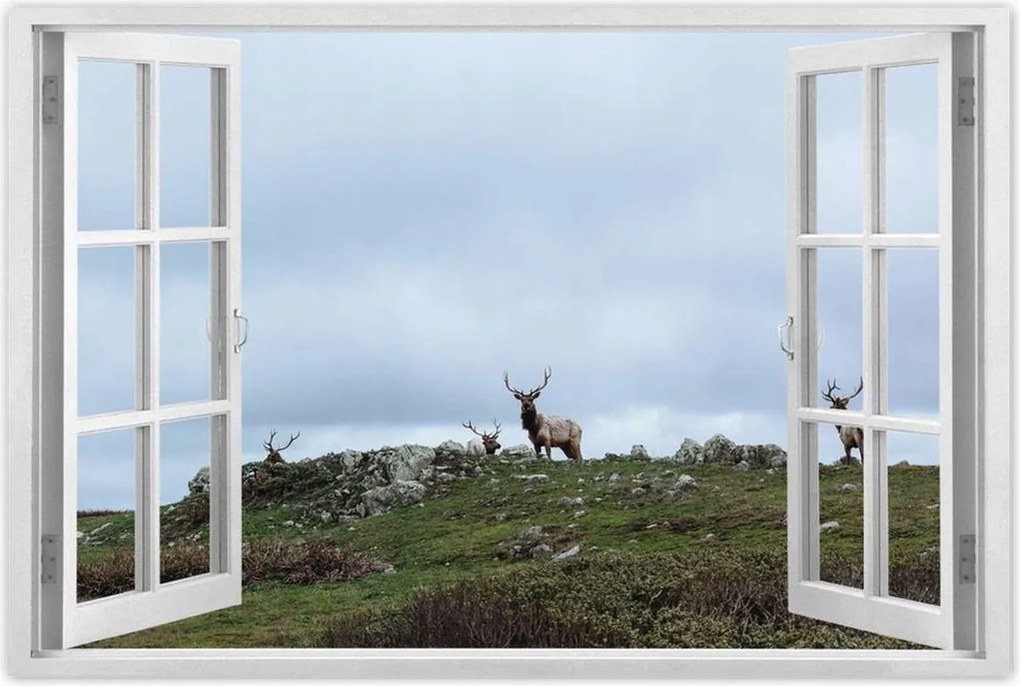 Poszterek 120x80 Szarvas felszarvazott