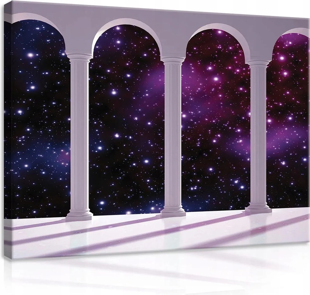 Vászonkép falikép lila fehér kozmosz 100 x 75