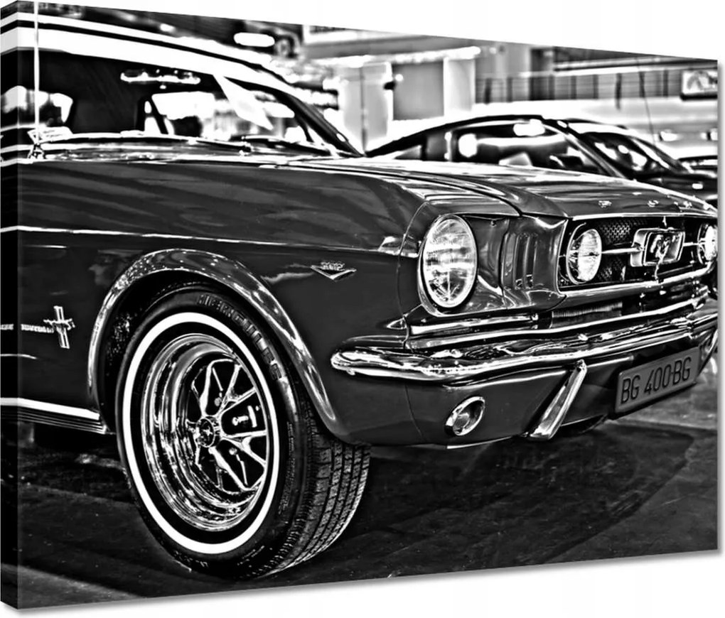 Vászonkép 40x30 Mustang maszk fotó