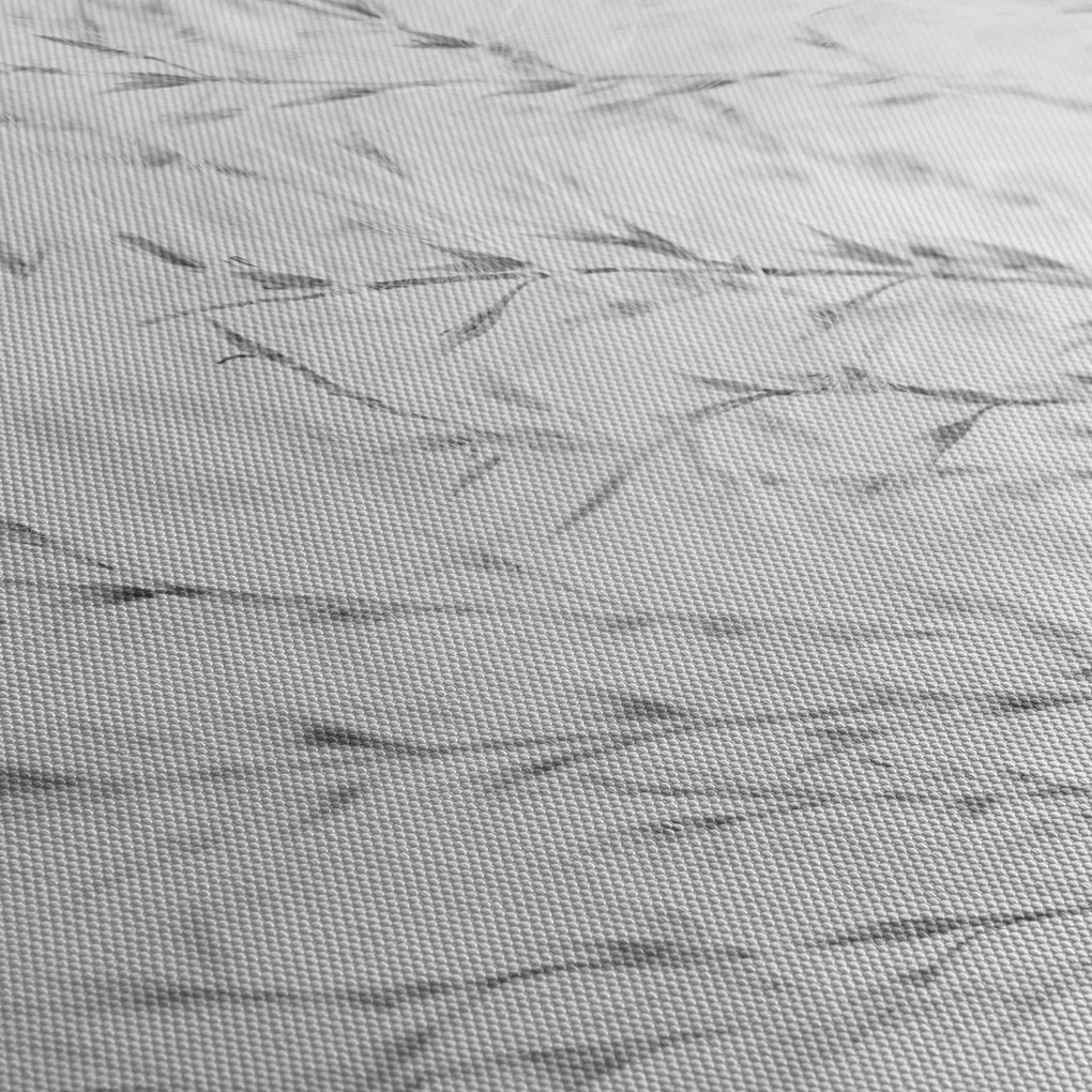 Kép - Pampafű N⁰2 (120x50 cm)