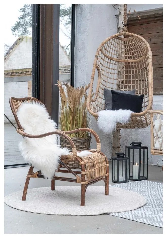 Fű műnövény (magasság 110 cm) Sorghum – House Nordic