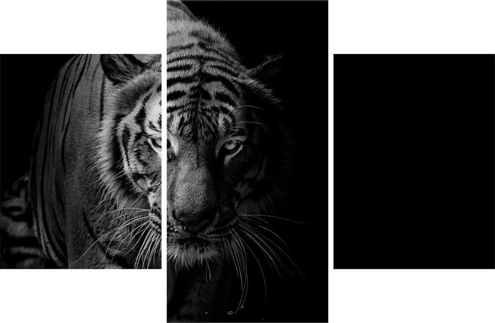Egy vadtigris képe (90x60 cm)