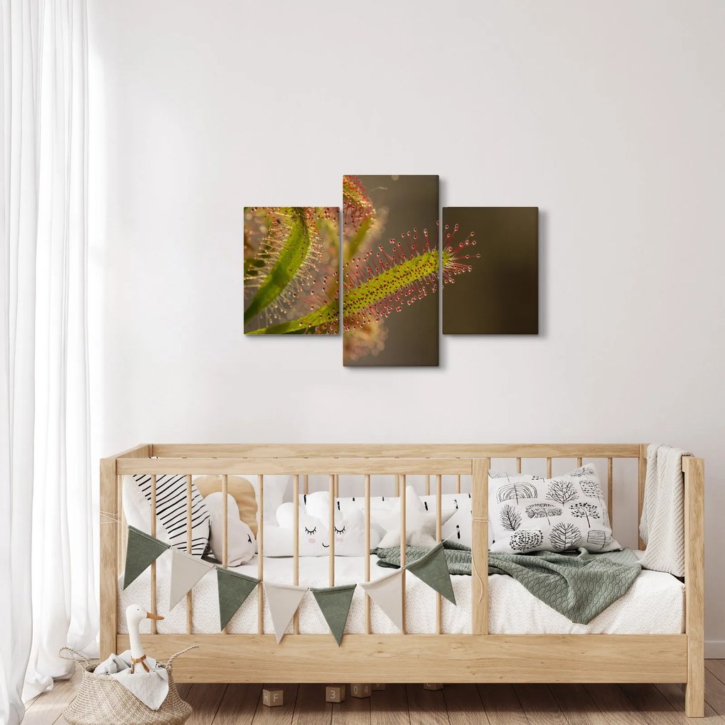 A növény képe (90x60 cm)