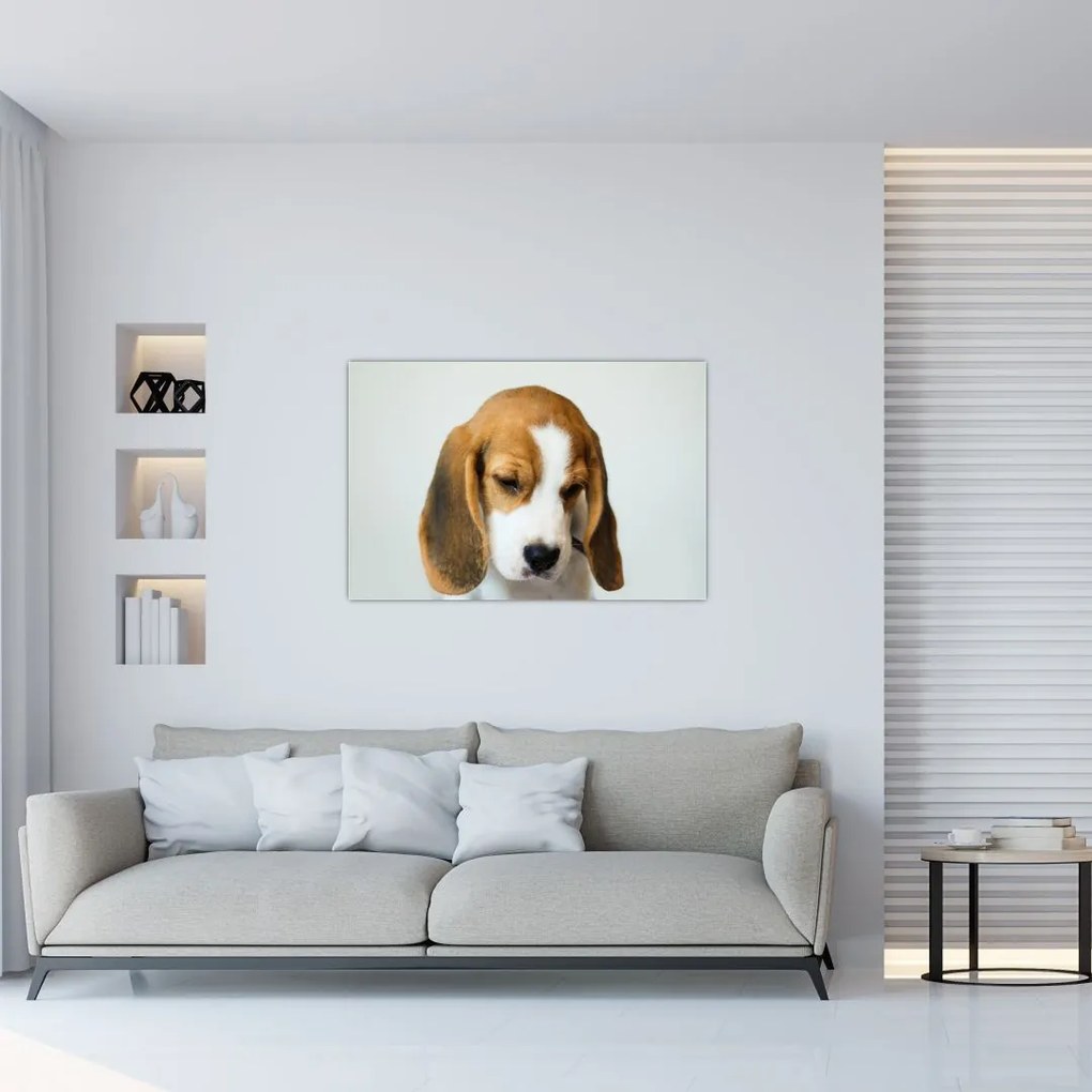 Beagle képe (90x60 cm)