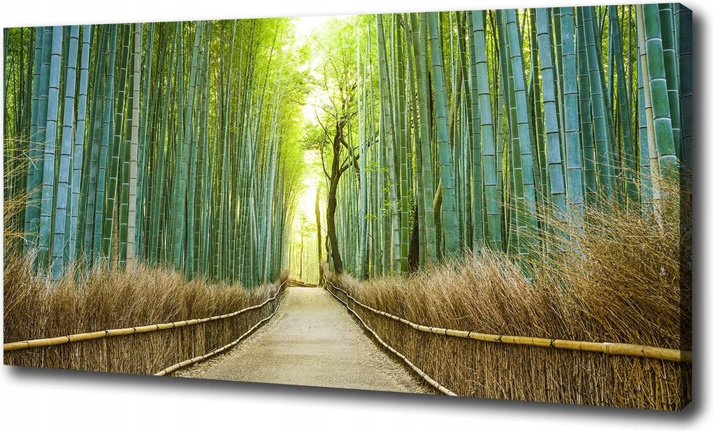 Vászonkép Bambusz erdő 100x70 cm