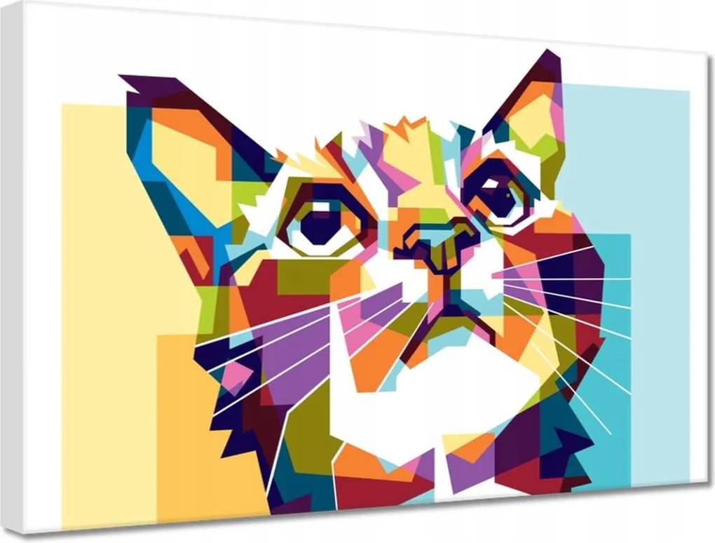 Vászonkép 30x20 Absztrakt macska