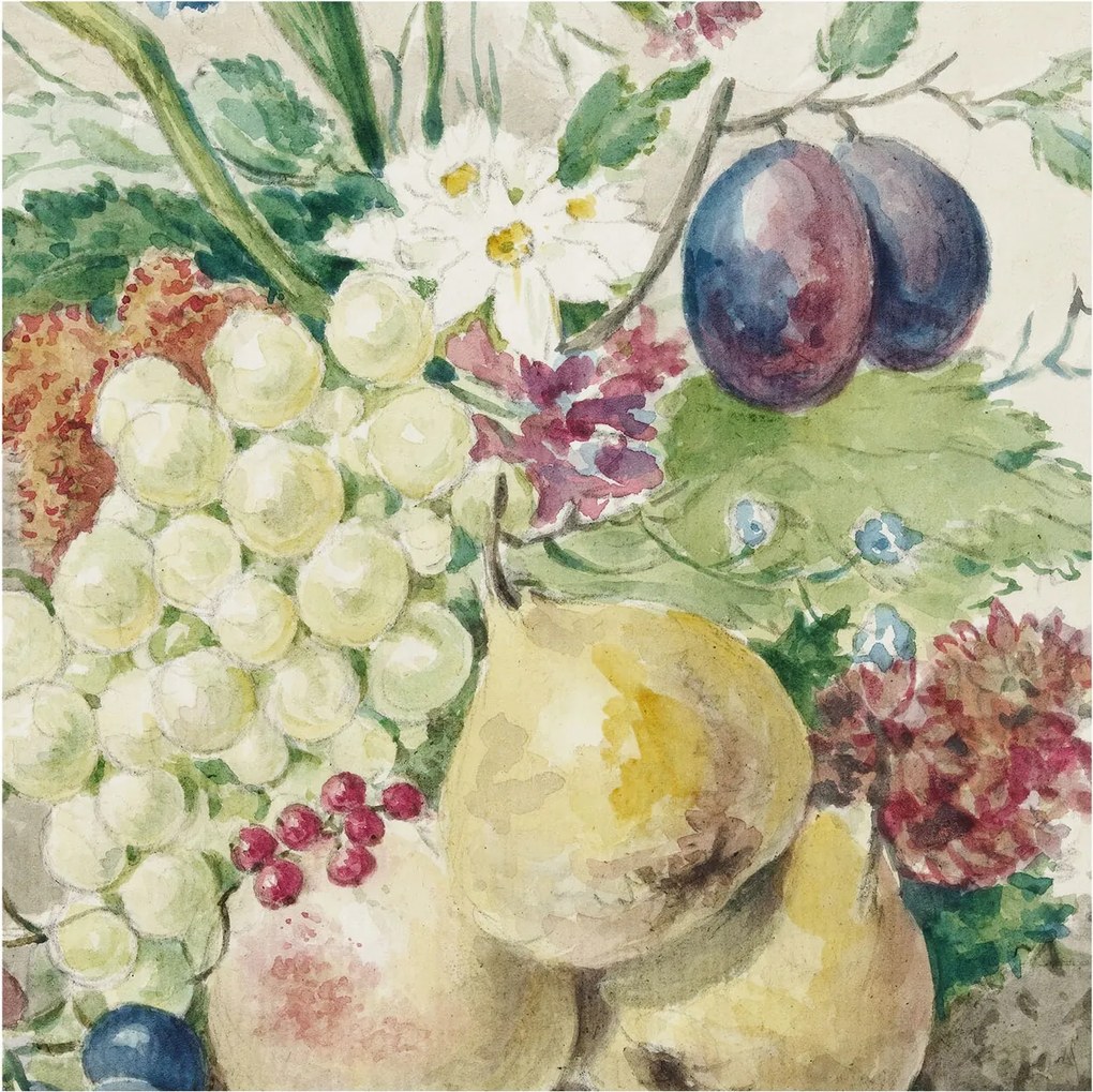 Flizelin Dekoratív fotótapéta Hálószobába Virágok és gyümölcsök 250x250