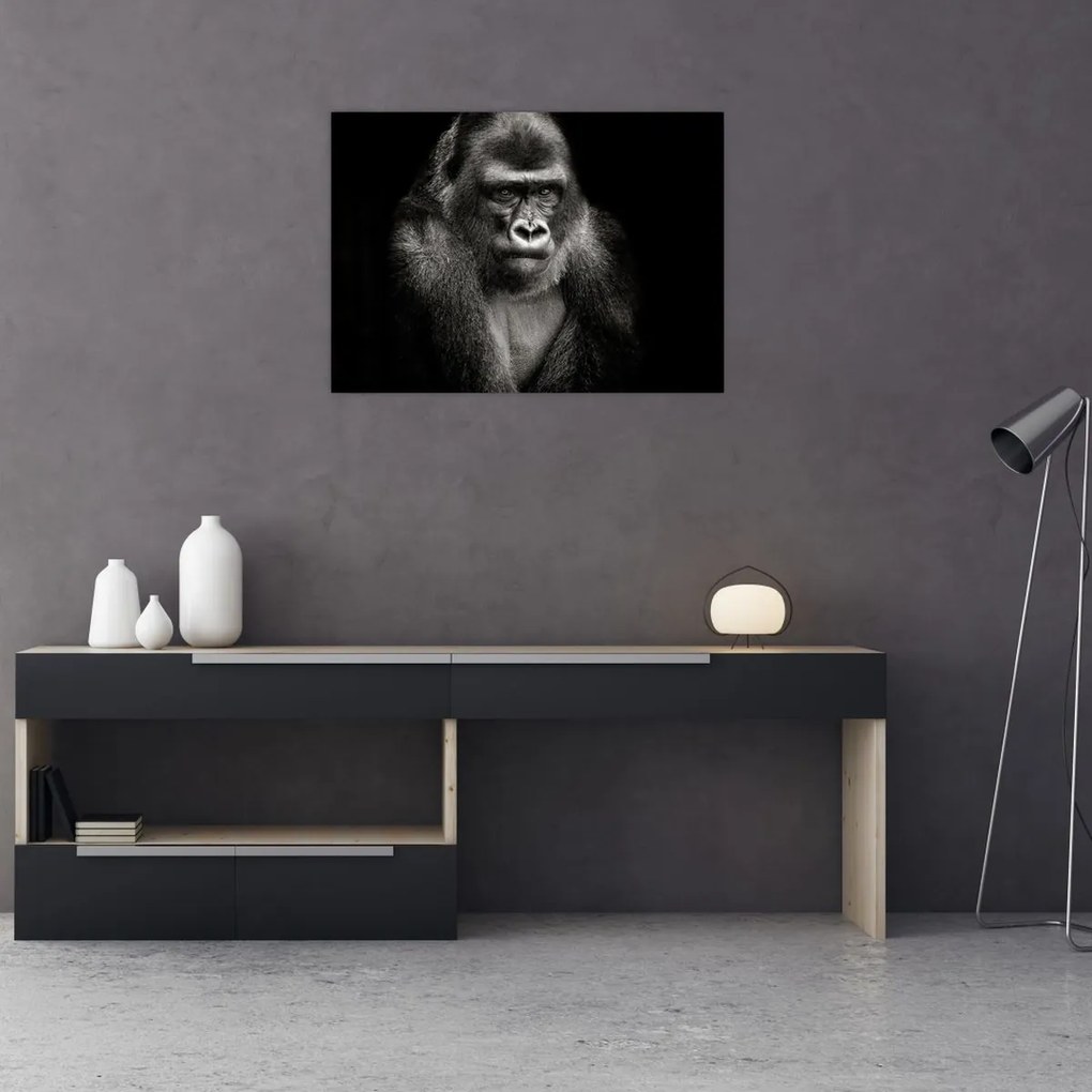 Kép - Gorilla (70x50 cm)