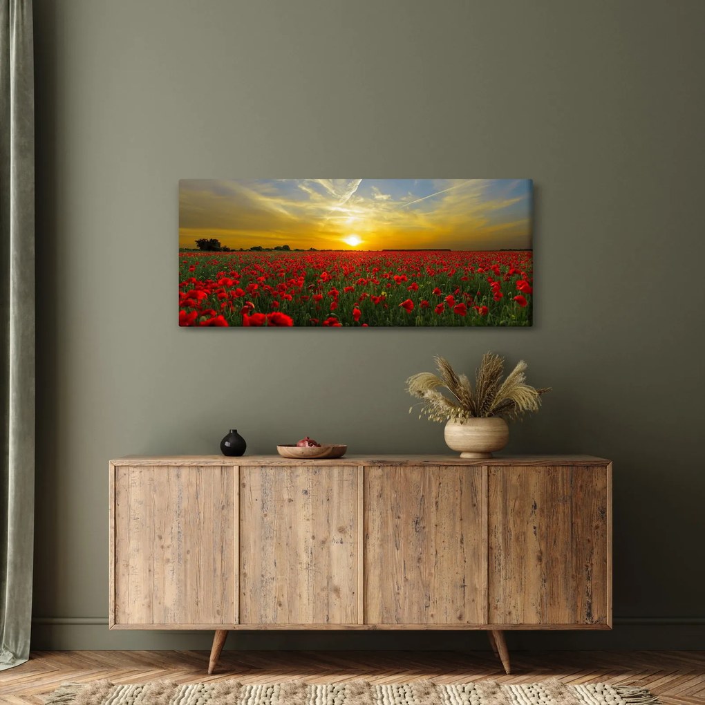 Egy kép a pipacs mezőről (120x50 cm)