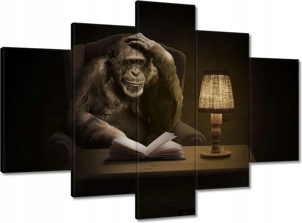 Festmények 150x105 Csimpánz Mit csomagolok?