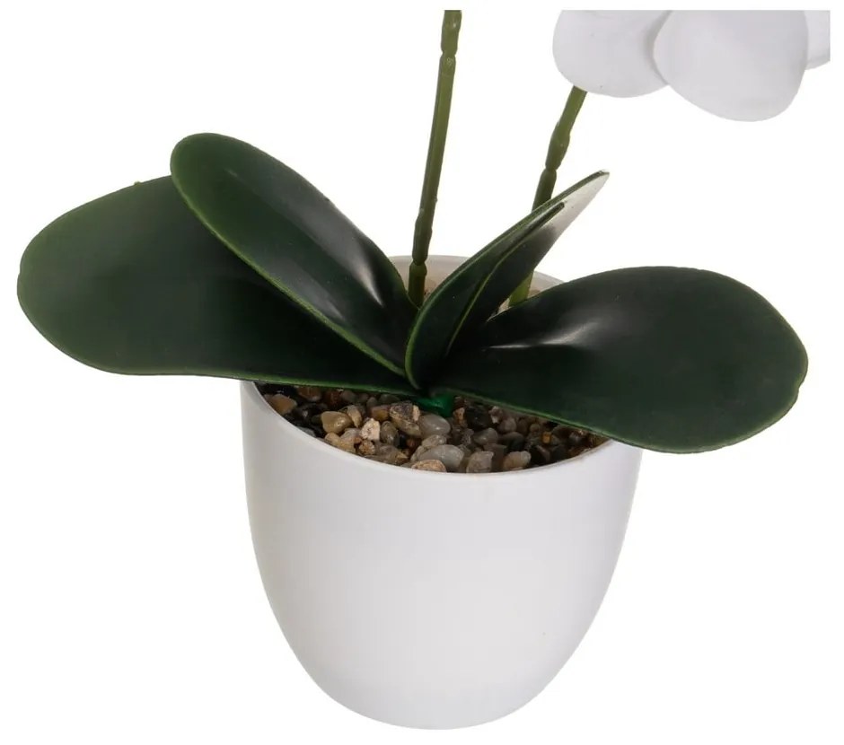 Művirág (magasság 39 cm) Orchid – Casa Selección