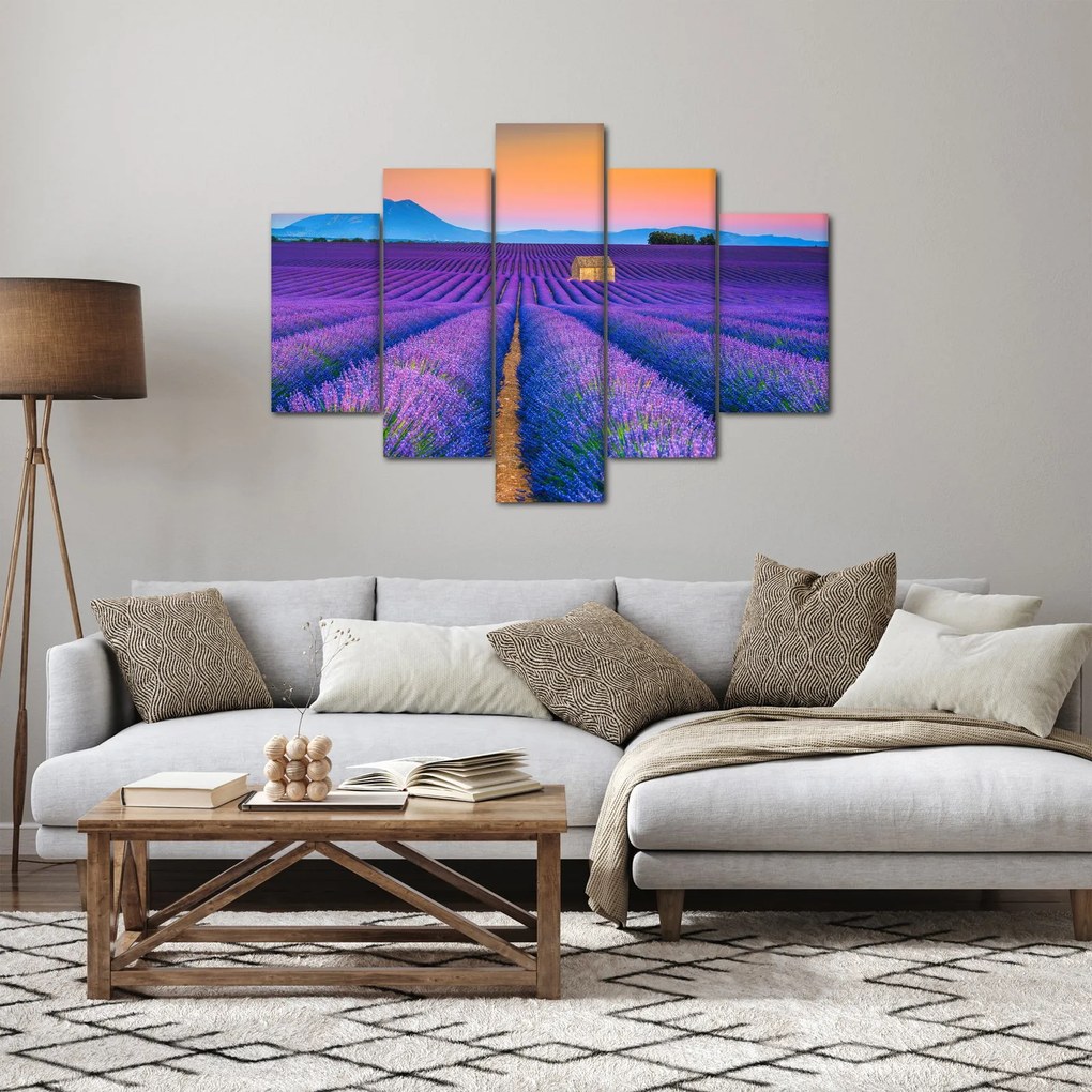 Kép - Levendula mező (150x105 cm)