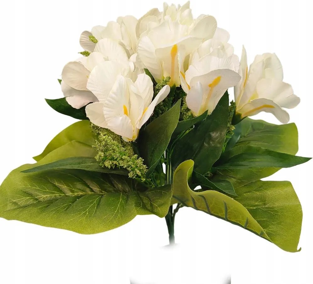 Írisz csokor krémszínű Hortens