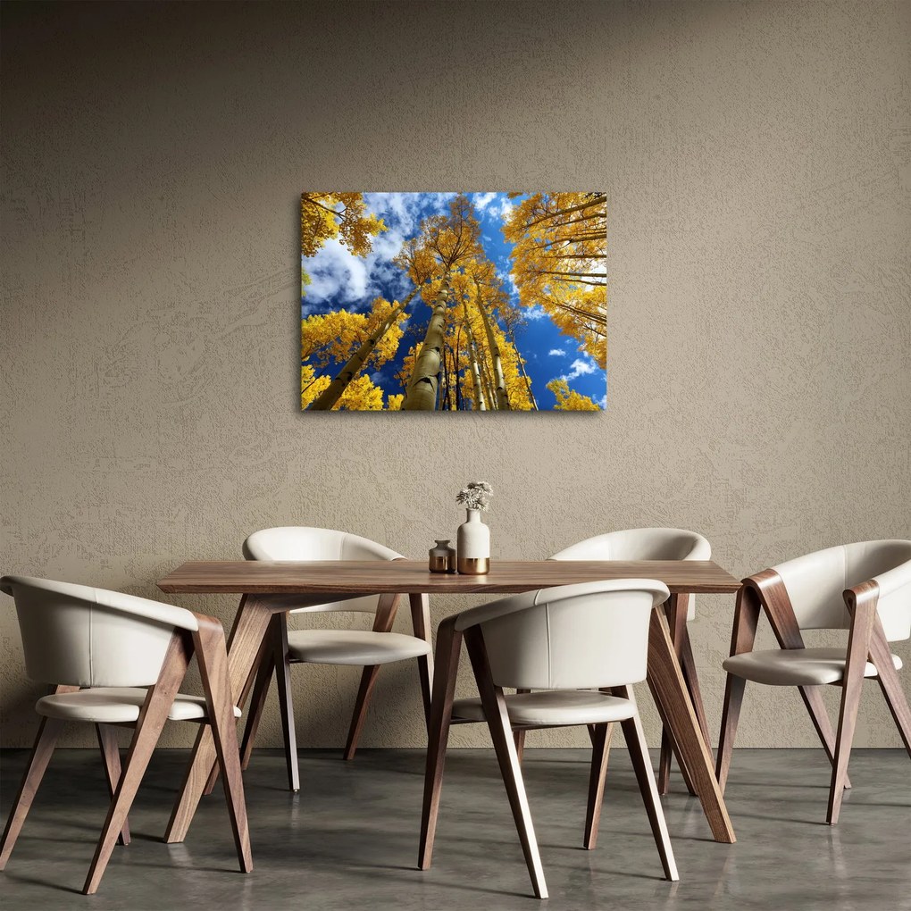 Kép - Aspen (70x50 cm)