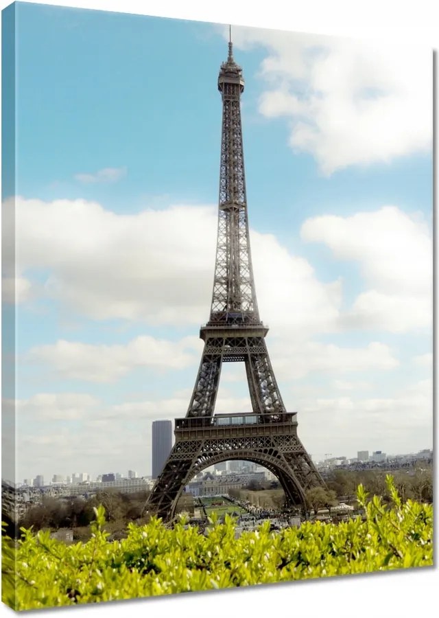 Vászonkép 60x80 Eiffel-torony