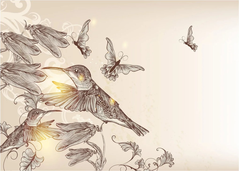 Kép - Kolibri (üvegen) (70x50 cm)