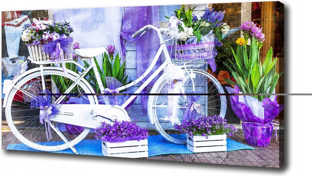 Canvas falikép Fehér kerékpár 100x50 cm