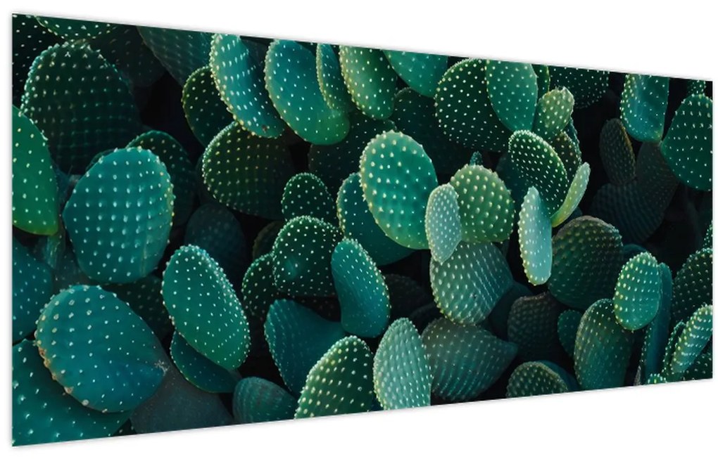 Kép - Opuntia (120x50 cm)