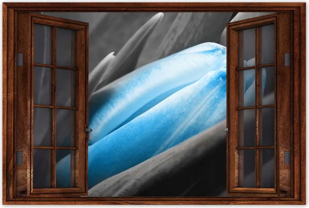 Poszterek 120x80 Kék szirmok Tulipán