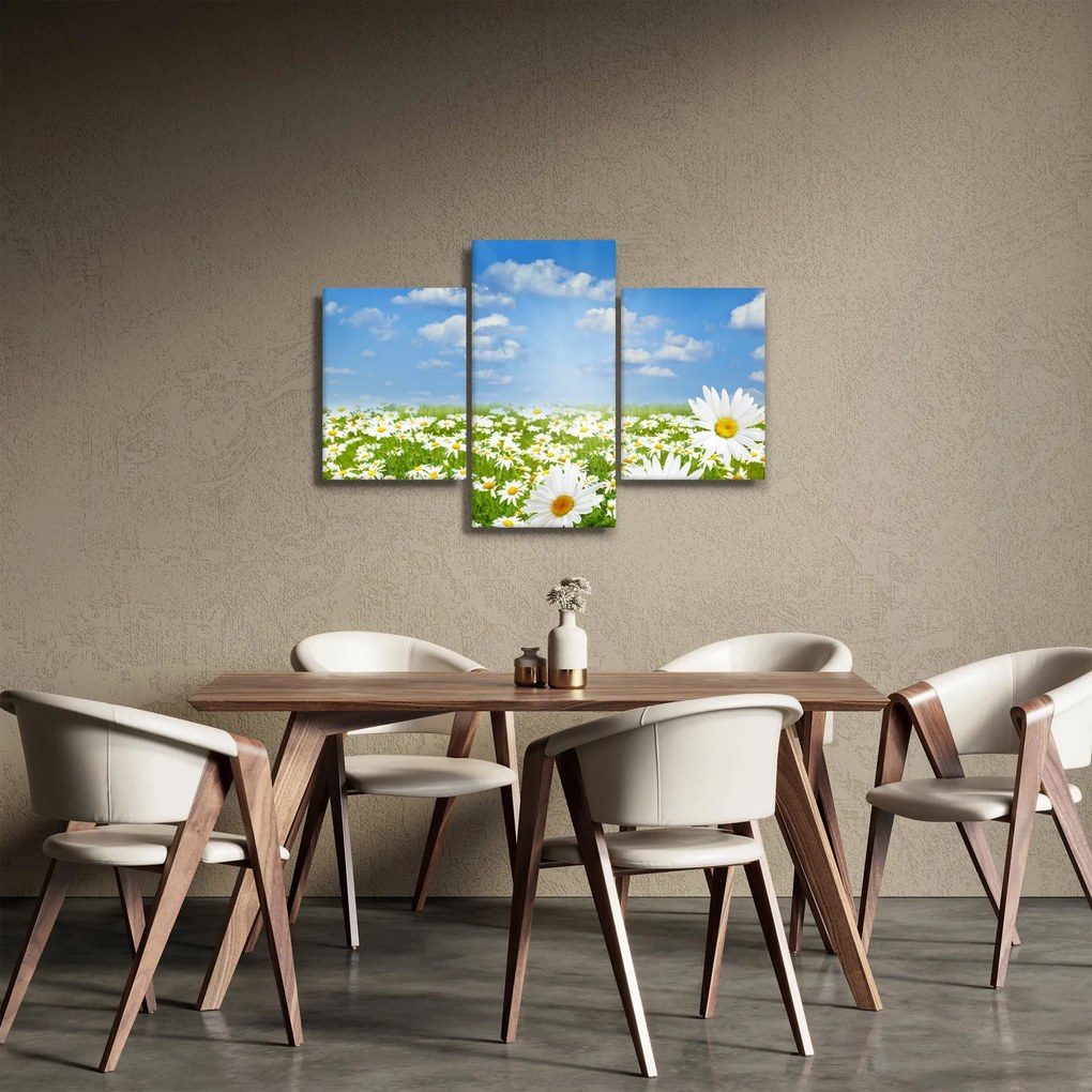 A virágzó rét százszorszépekkel képe (90x60 cm)