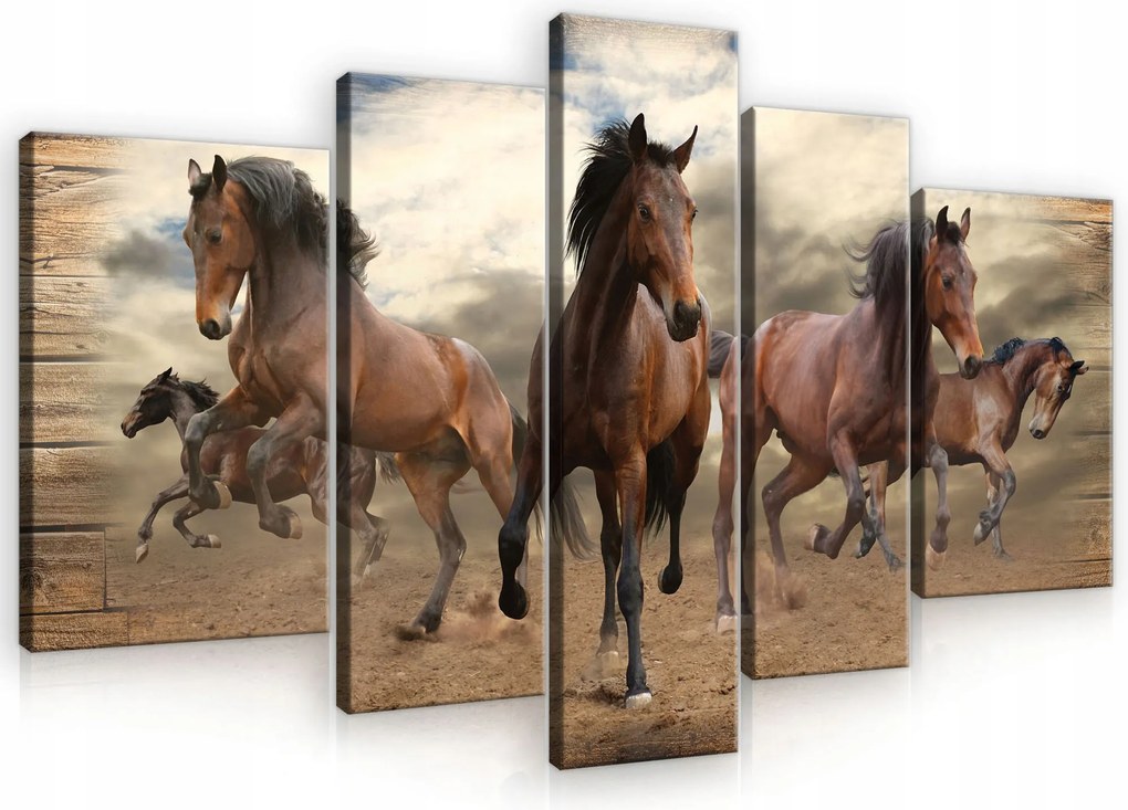 Vászonkép Nappaliba Hálószoba Lovak Állatok Pentapszis 5 Részes XXL 170x100