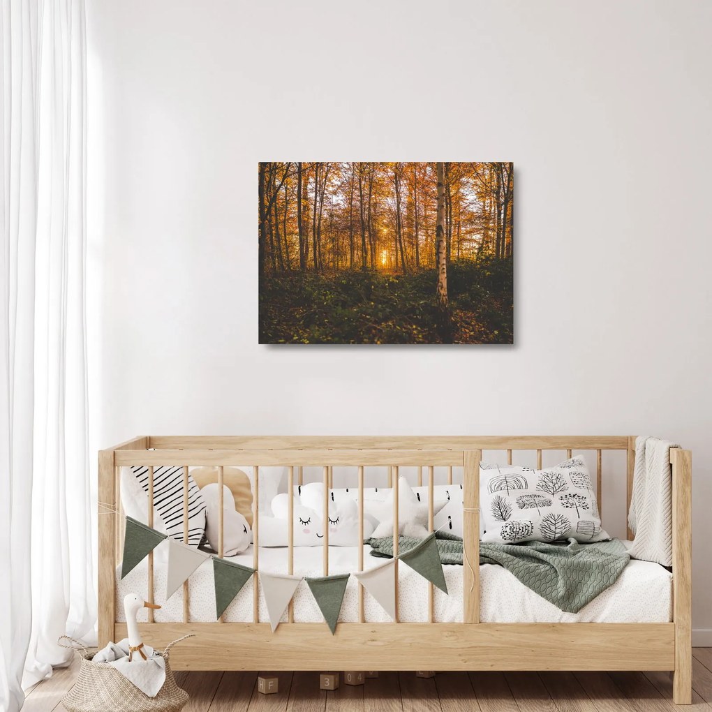 Egy őszi erdő képe (üvegen) (70x50 cm)