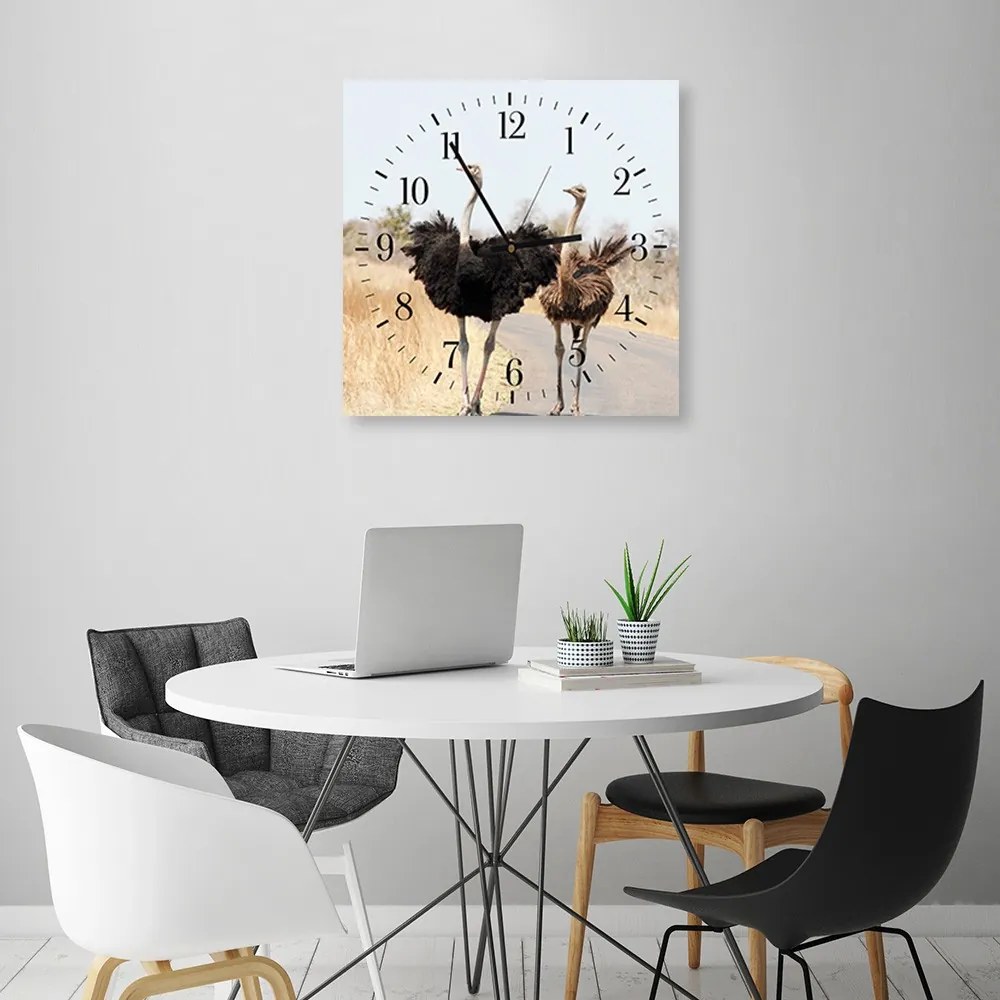 Gario Falióra Két strucc Méret: 80 x 80 cm