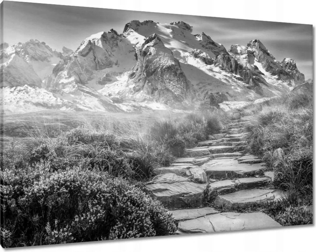 Festmények 100x70 Hegyi kilátás