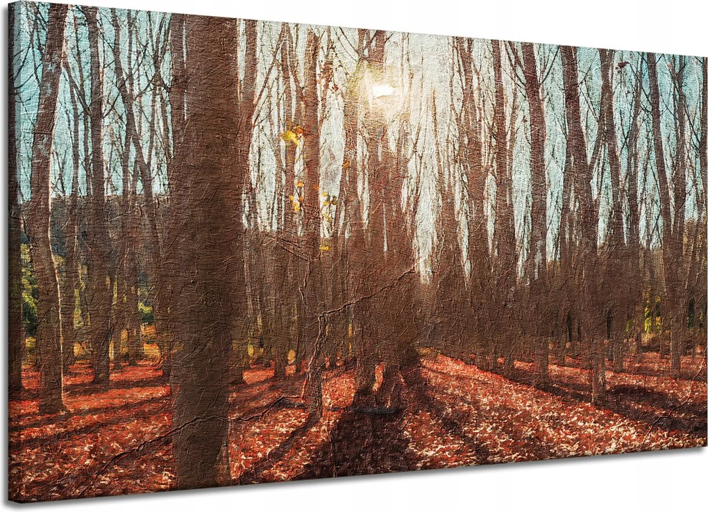 Vászonkép Erdő Ősz Levelek Színes Természet 120x70 cm