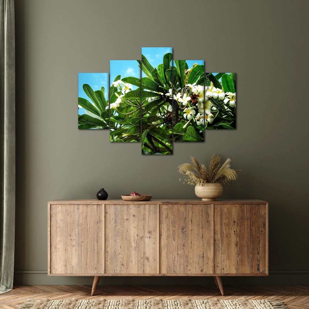 Kép - Plumeria (150x105 cm)