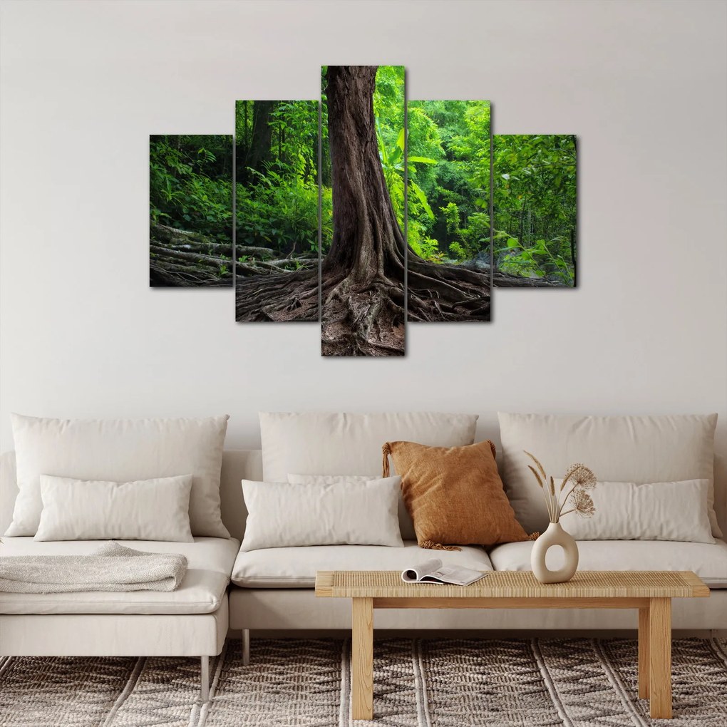 Kép - Öreg fa gyökere (150x105 cm)