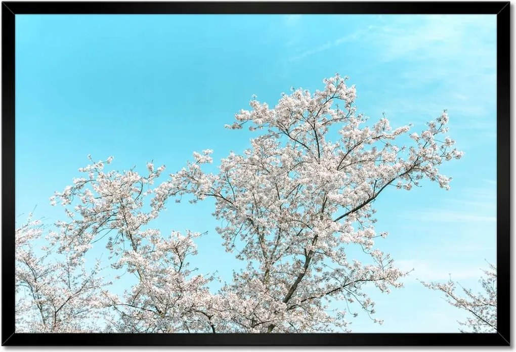 Poszterek keretben 60x40 Finom virágok Tavasz